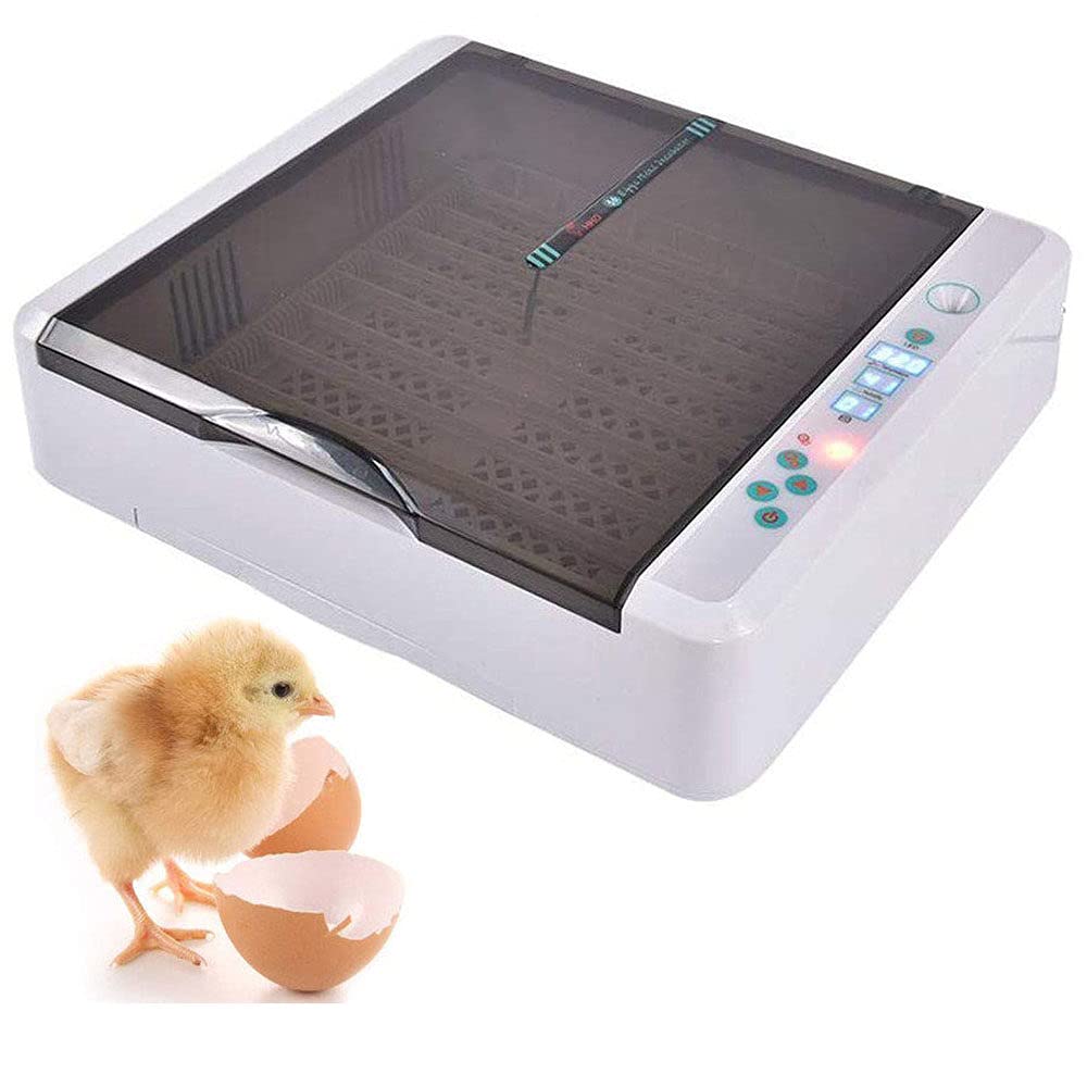 WXHN All-in-One Egg Incubator, Incubators for Hatching Eggs, 36 Eggs Digital Incubator with Fully Automatic Egg Turning, Humidity Control Clear Hatching for Chicken Duck and Goose Eggs