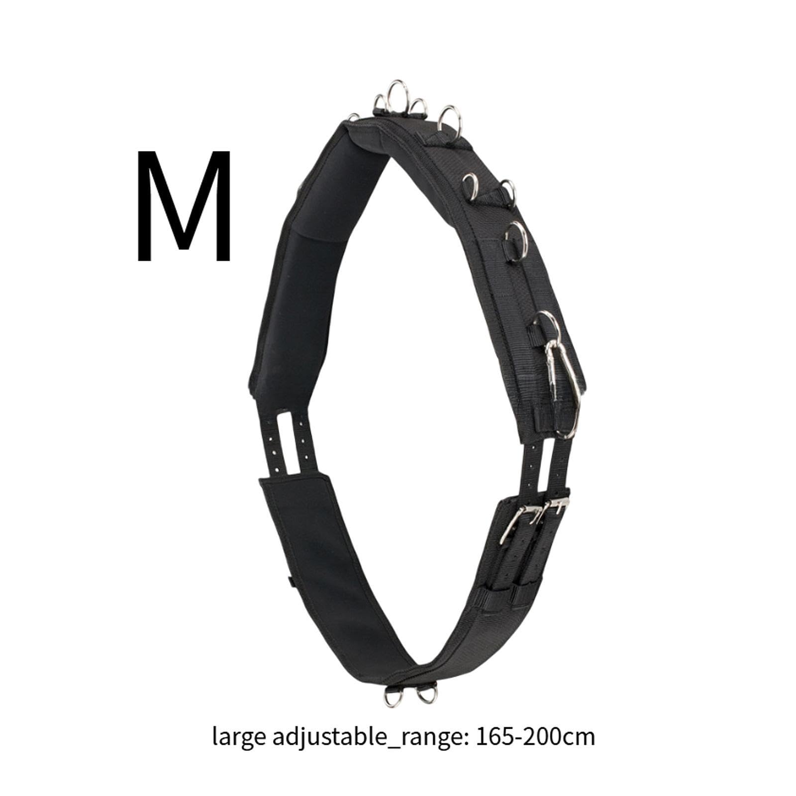 Fenteer Système de Formation Horse Supprocle pour Chevaux avec Matériel