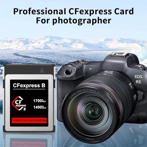 Image of Dogfish CFexpress Type B Card 512GB, Up to 1700MB /s, 8K 4K RAW Photo and Video, CF Express Flash Memory for Nikon Canon Panasonic Cameras Camcorders
