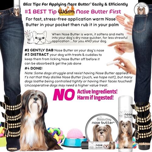 Image of The Blissful Dog Lhasa Apso Nose Butter for Dry, Cracked Skin, Lick-Safe Dog Nose Balm with Moisturizing Shea Butter, Almond, Olive, and Essential Oils, Pet Supplies, Uncented, 4 oz.