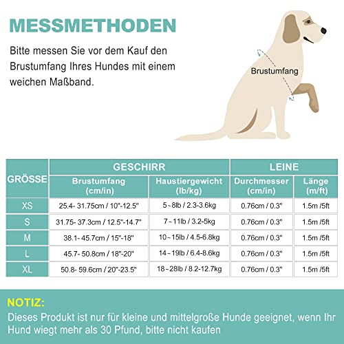 haapaw Hundegeschirr und Leine Set, kein Ziehen, verstellbares, reflektierendes Step-in-Welpengeschirr mit Dicker, gepolsterter Weste für extra kleine/kleine mittelgroße Hunde