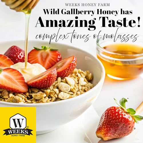 Miel pura Gallberry Weeks Honey Farm 22 oz frasco miniatura 3