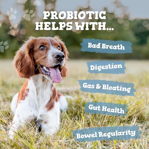 Zipvit Probiotics for Dogs, Daily Dog Probiotic Powder for Gut Health and Digestion, 525 Million CFU per Serving, with Prebiotics and Postbiotics, 150g - Image 4