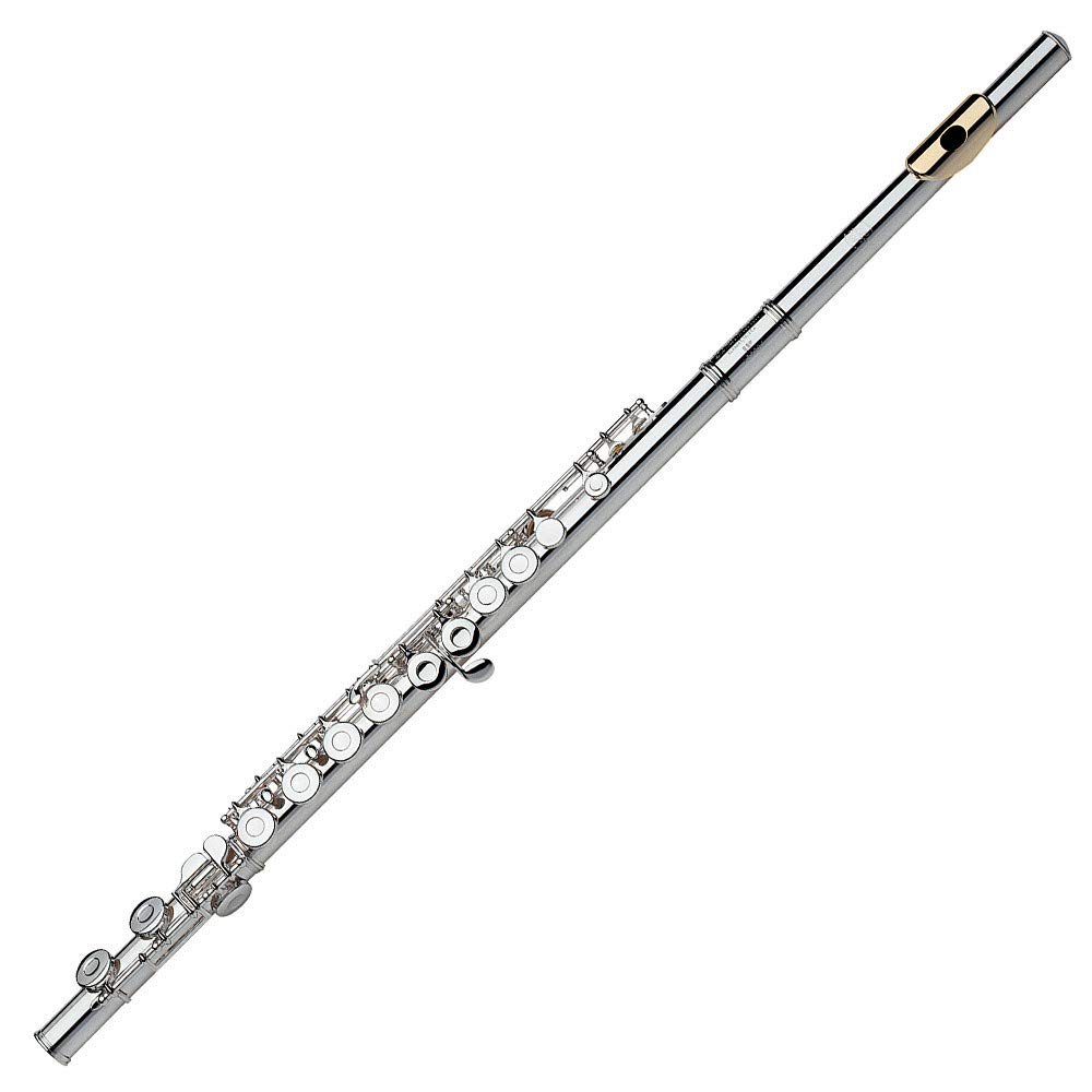 Amazon.com: Gemeinhardt 2SPGLP 2SP Flute Gold Lip Plate : Musical