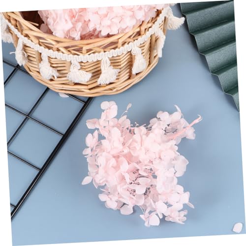 Pétalos secos naturales de hortensia para decoración miniatura 2