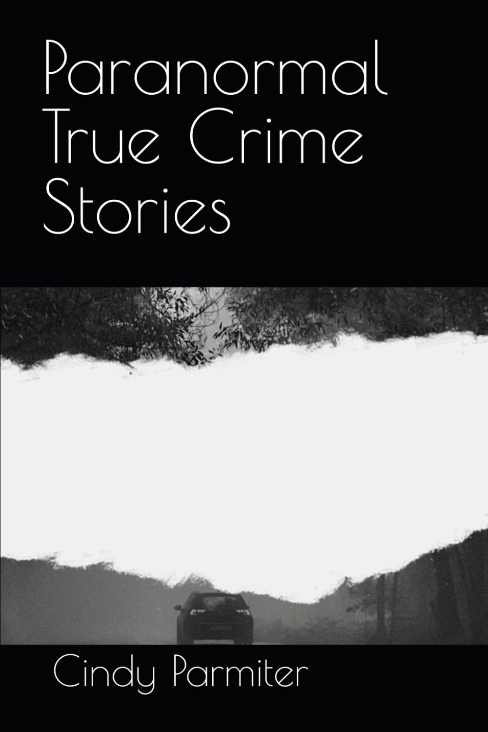 Paranormal True Crime Stories