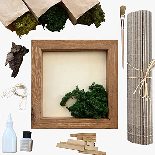 Cuadro de musgo islandés Kit DIY con marco de roble macizo artesanal 2
