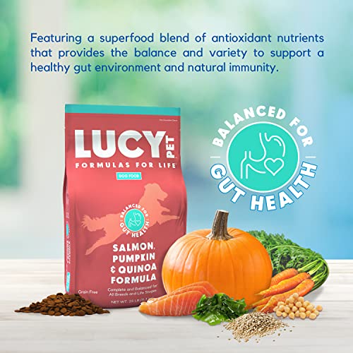 Lucy-Pet-Formulas-for-Life-Salmon-Pumpkin-Quinoa-Dry-Dog-Food-All-Life-Stages-Digestive-Health-Sensitive-Stomach-Skin-25lb-bag