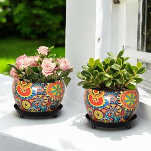 ecofynd 5 inches, Lily Designer Metal Plant Pot with Saucer Plate...