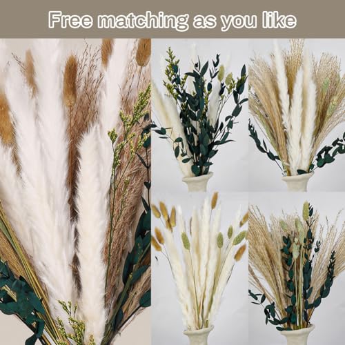 Miniatura 6 de Hotut Pampas Secas Decoración, 65 Piezas Hierba De Pampas Natural 40 Cm, Ramos De Flores Secas Para El Hogar, Boda Y Decoración