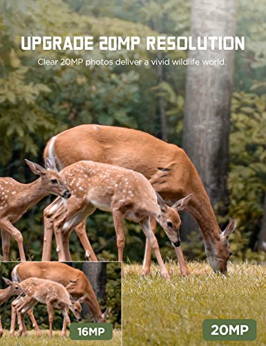 CEYOMUR Trail Camera, 20MP 1080P Game Camera with 32GB SD Card and 4 Batteries IR LEDs Night Vision Motion Activated, Video Game Camera with IP66 Waterproof for Wildlife Monitoring