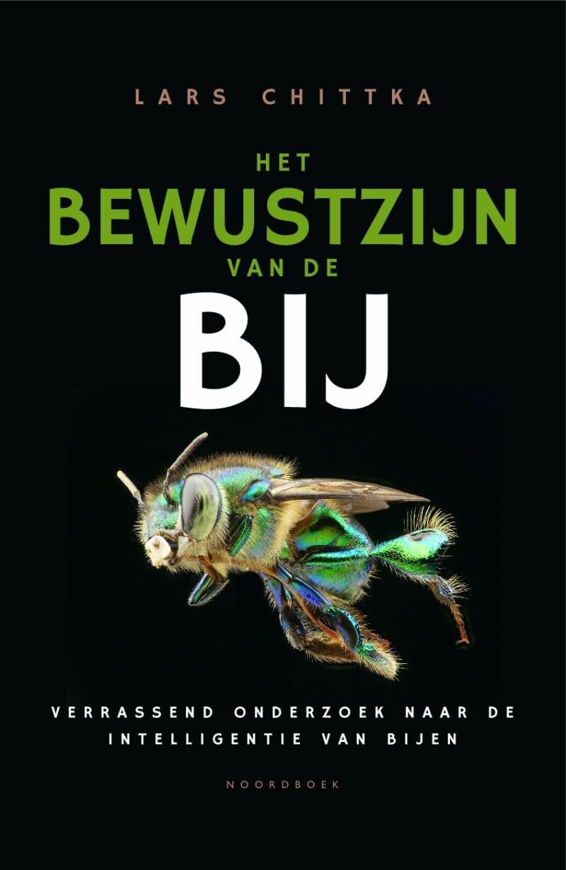 Het bewustzijn van de bij: verrassend onderzoek naar de intelligentie van bijen