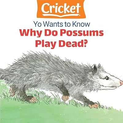 Yo Wants to Know