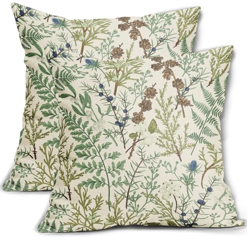 Juego de 2 fundas de almohada con estampado botánico verde salvia...