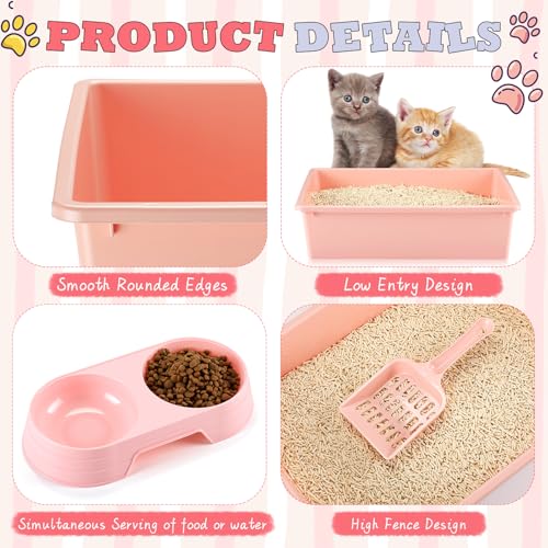 Kit de inicio para gatos con 2 areneros pequeños miniatura 5