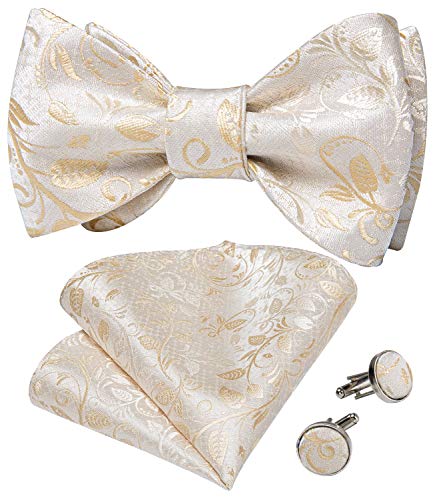 Image of DiBanGu Men Bow Tie Paisley Striped Self-Bow Tie for Men and Silk Woven Bowtie Pocket Square Cufflinks Wedding Party
