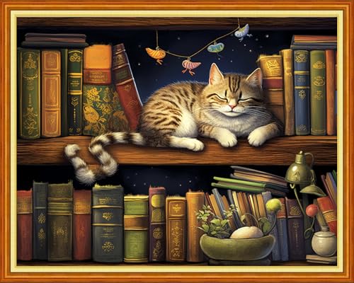 Image of DMCVIVR Stamped Cross Stitch Kits for Adults Beginners Embroidery Kits 11CT Needlepoint Kits Cross Stitch Patterns Embroidery Patterns& Bookshelf Cat 16x20 inch