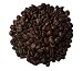 Hawaiian Kona Extra Fancy Coffee - 100% pure, NOT A BLEND! Best from Hawaii - Roasted Beans in a 1lb Vacuum Sealed Re-closable Bag with one way degassing valve.