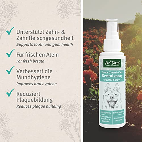 AniForte Denta Clean & Care Dentalspray für Hunde – 100% natürliche Extrakte & Calcium, entfernt Zahnbelag, Mundgeruch Spray für frischen Atem, beugt Plaque, Zahnstein vor, Zahnpflege Spray