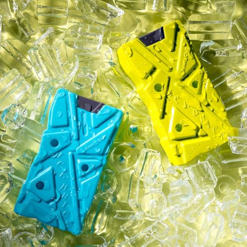 Image of Pinnacle Ice Bricks 600 ML (Pack of 2) | Ice Pack for Ice Box | Leakproof Cold Pads | Reusable Long Lasting Freezer Ice Blocks | Cooler Accessory for Camping, Travel & Picnic