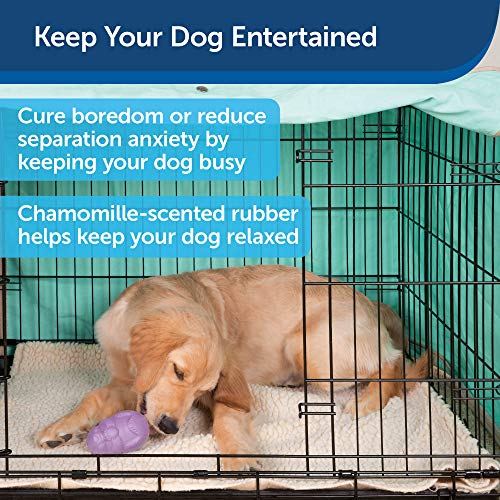 PetSafe Dispensador de brinquedos e petiscos interativos para cães Busy Buddy, PTY00-15761