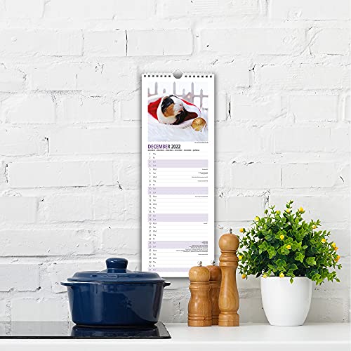 Magnet & Steel,Cavia Slim 2022 Kalender - Image 5