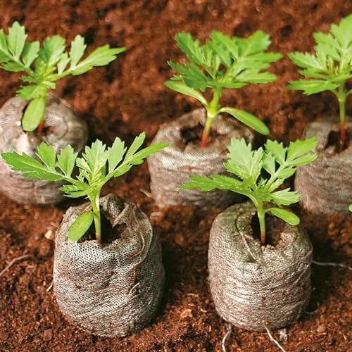 Image of Seedling Tray for Plants with Cocopeat - A 100% Organic Seed Germination Tray | Used as a Seed Germination kit for 100% Germination | 30mm Diameter (Pack of 100)