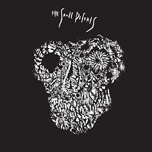 Musica Skull Defekts