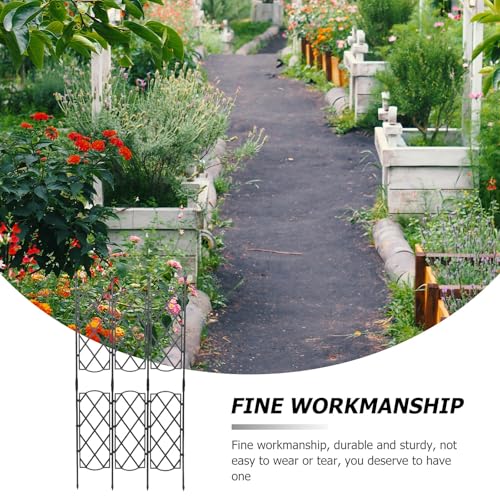 Support robuste pour vignes et architecture de jardin haut de gamme - 4