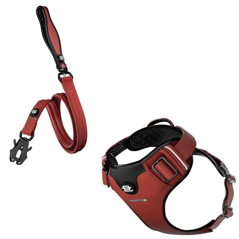 Bullyion ® Original Equipment Hygge Harness & All Action DUAL SWIVEL LEAD – Softcell Padding, Adjustable Fit – Durable Lead – Anti Tangle - Lockforce Metal Buckle & Clasp (TUDOR RED - Size A)