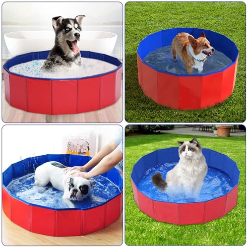 LUFEIS Hundepool, 60x20 cm Hundepool Schwimmbad, Hundebecken Faltbar mit Ablassventil, Planschbecken Rutschfest, Swimmingpool für Hunde, Faltbarer Pool, Hundepools Schwimmbecken für Kleine Hunde Katze