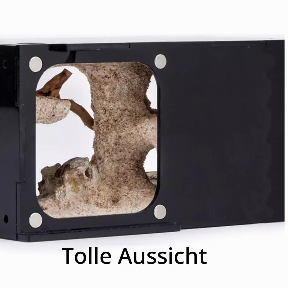 Ameisenfarm Beobachtungsterrarium aus transparentem Acryl mit Aktivitätskammer für Anfänger Ameisenhalter