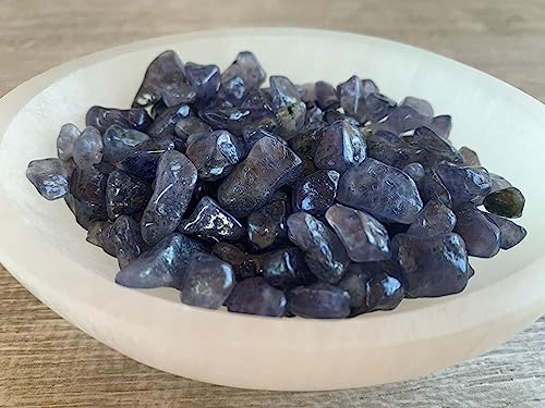 Image of GAF TREASURES 2 oz Lot Natural Semi Tumbled Iolite Gemstone Chips, Iolite Crushed Mini Crystals, Undrilled Crystal Chips (Iolite)