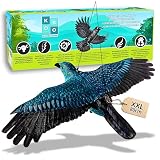 Koobo Home - Ahuyentador de Palomas XXL 80 cm - Espanta Palomas Balcon - Espantapajaros Exterior - Cuervo Antipalomas - Ahuyentador de pajaros - Anti Palomas (Azul)