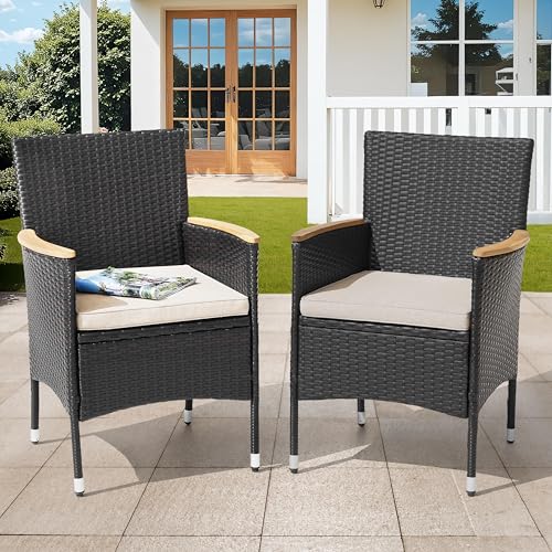 NUU GARDEN Patio Dining Chairs Set of 2, Outdoor Wicker