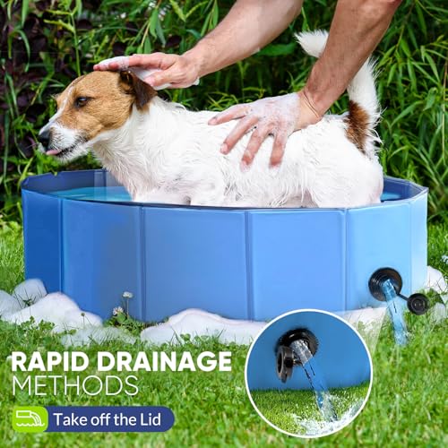 Image of Dog Pool, Foldable Pet Swimming Pool with 6mm High-Strength PP Board, Hard Plastic Collapsible Doggy Pools for Small Dogs Kitty Duck, Non-Slip Doggie Bathtub Quick to Set Up and Drainage Hole, 40 inch