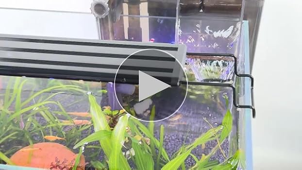Amazon.co.jp: FEDOUR 25cm USB電源LEDライト - 三色LED ライト