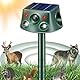 Katzenschreck Ultraschall Solar Tiervertreiber, Marderschreck bis zu 12m Katzenabwehr Marderabwehr Garten Wasserdicht 13.5KHZ-65.5KHZ Automatisch Waschbär abwehr für Katzen Hunde Marder Mäuse Vögel