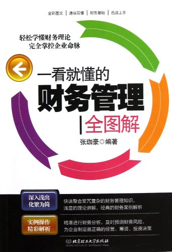 Diagrammatized Financial Management (Chinese Edition)