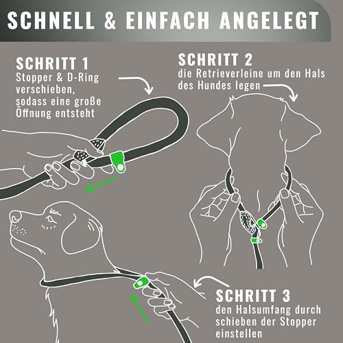 Retrieverleine 150 cm für große & kleine Hunde – Halsband mit integrierter Leine – Slip Leash & Trainingsleine Hund – Führungsleine für Labrador & Retriever - Ruckdämpfer (Anthrazit, bis 5 Kg)