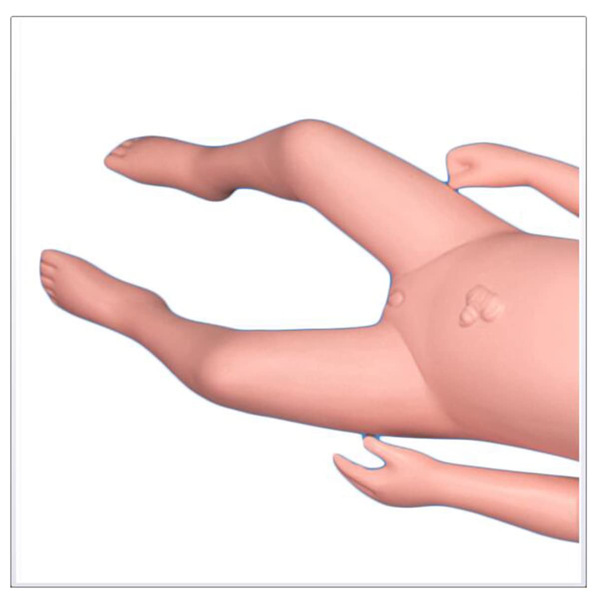 Flexibles Beckenmodell zur Geburt – Modell zur Geburt – mit Fontanelle, Baby- und Becken-Symphysis, bewegliche Sakroiliakgelenke (weiblich)