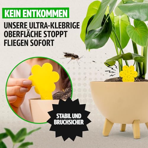 Super Ninja hochwirksame Gelbtafeln für Trauermücken Bekämpfen 30er-Pack – Gelbsticker für Pflanzen - Kinder- und haustierfreundlich - 3 Monate verwendbar