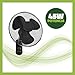 Imagen de GROWMANIA Ventilador de Pared con Mando a Distancia 45W