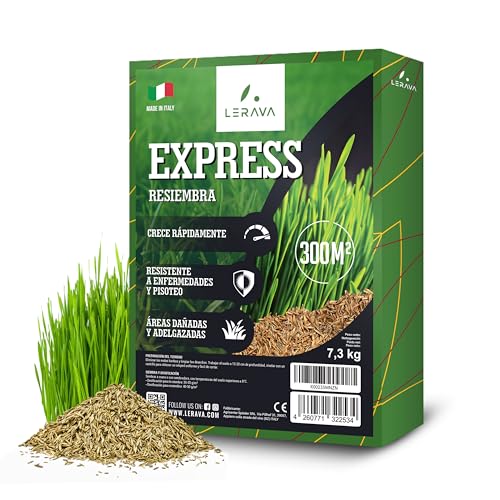 LERAVA® EXPRESS Semillas cesped [RÁPIDO] - 300m² - Semillas cesped rapido y resistente - ideal para jardín y sombra - semilla cesped natural - alta tolerancia al calor