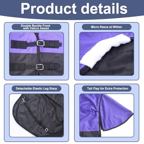 Gallopoff 600 Denier Rip-Stop Horse Rain Sheet Lightweight Waterproof And Breathable Turnout Horse Blanket (No Fill) Violet/Black 78 thumb #1