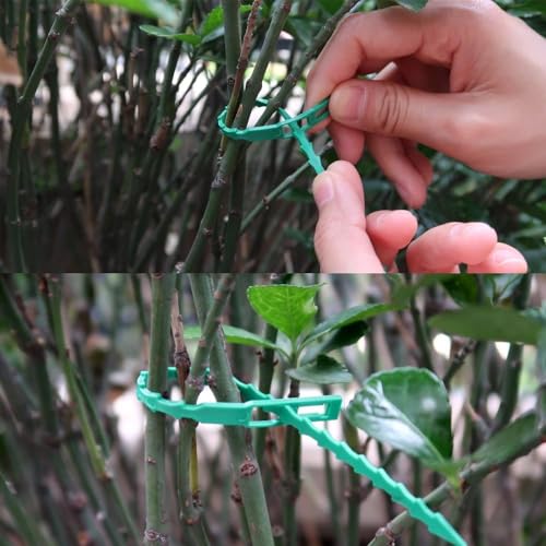 Image of 60 PCS Plant Support Clips & Ties for Climbers | 17cm Plant Support Sticks, Wall Clips & Twist Ties | Plant Holder for Vines, Creepers & Indoor /Outdoor Garden