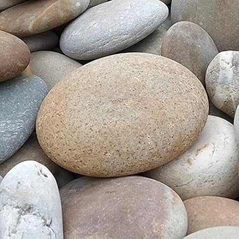 S4G Japanese Multicolored Flat Pebbles. It is a round natural stones in shades of beige, brown, gray and white. (1) Cover