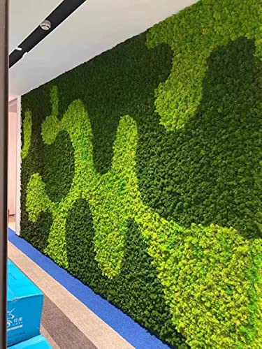 Prefleur Preserved Reindeer Moss Natural Green Diy Kit Gardenning Art Wall Decor Florist Decor Easter Table Decor Wedding Decor (0.85Lb)(Green-06) #TOP7