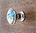 Shabby Restore Tropical, Ocean, Fish, Beach, Starfish, Sand Nautical Glass Knobs, Drawer, Cabinet Knobs - 12 Pack