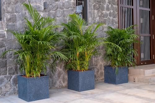 Image of Harshdeep Planters for Indoor Plants - Quebec Square - Home Balcony Garden Decorative Durable Light Weight Stone Finish 10 Inch UV Protected Roto Pots (White Stone, Small)